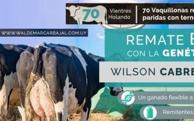 Hoy remate de Waldemar Carbajal, con transmisión de Todo El Campo.