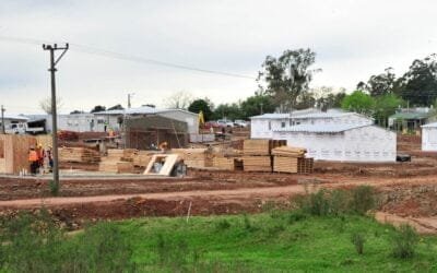 Ministerio de Vivienda platea incentivos para fomentar la construcción en madera.