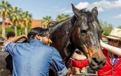 Educando lejos de los animales.
