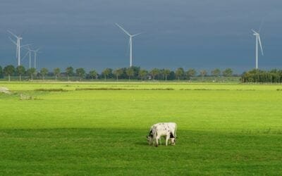Documento de Ceres sobre el sector lechero: Beneficios e impacto económico del riego.