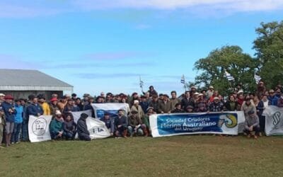 En mayo será la Gira Merino Australiano 2024.