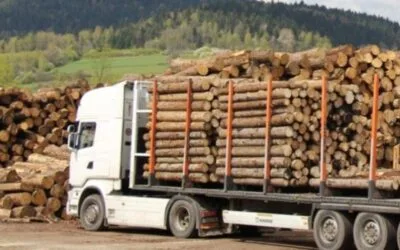 Productores forestales sobre caminería rural, apelan a “soluciones integrales que involucren a todos los sectores productivos”.