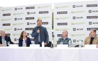 Comenzó la zafra de caña de azúcar, este año se espera una cosecha récord.