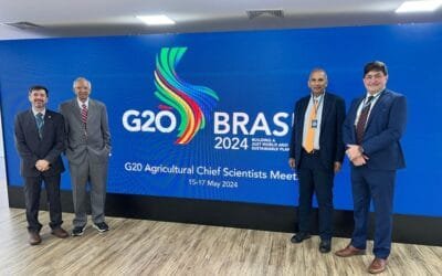 La agricultura es el sector clave para solucionar la crisis ambiental.