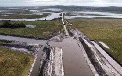 Puertos y muelles están siendo afectados por las crecidas del río Uruguay