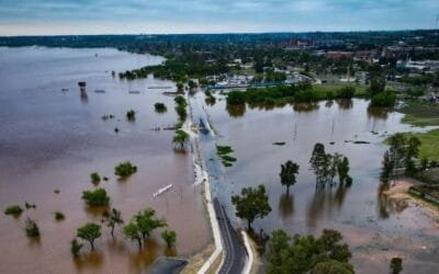 Los suelos siguen saturados, pero en los próximos días los cursos de agua retornarían a sus cauces.