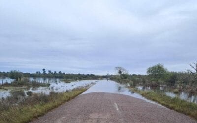 Mattos firmó la emergencia agropecuaria para parte de Rocha y Treinta y Tres.