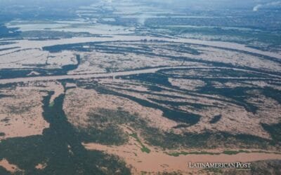 Brasil autorizó importar 1 millón de toneladas de arroz.