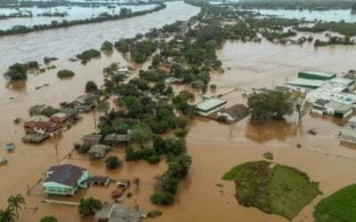 Lluvias en Brasil impactan en las estimaciones de soja.