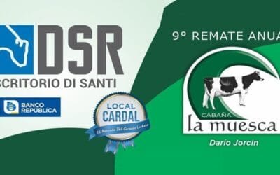 Muy buen remate de Di Santi Ltda. de cabaña La Muesca.