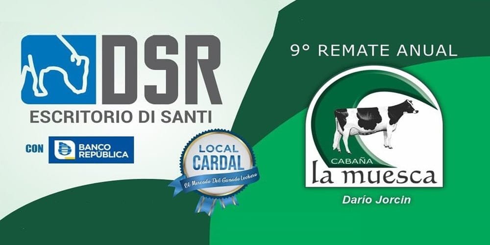 Muy buen remate de Di Santi Ltda. de cabaña La Muesca.