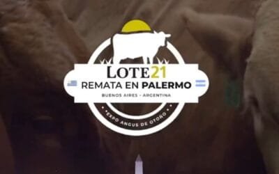 Se viene la 81 Expo Angus de Otoño, con la participación de Lote 21.