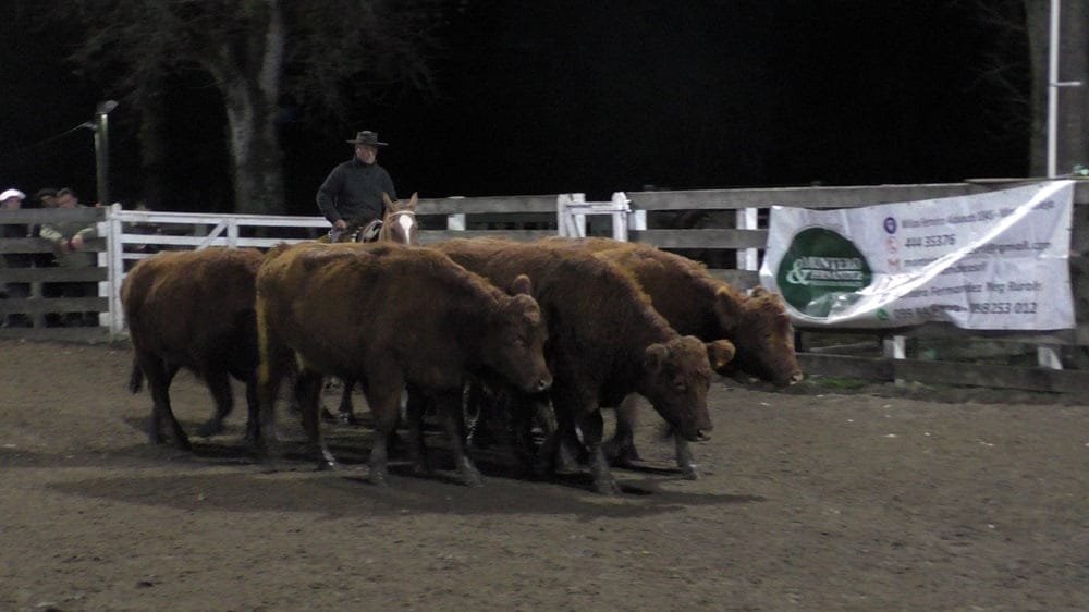 Escritorio Montero & Fernández en Campanero mostró un mercado firme con algún reacomodo en los valores.