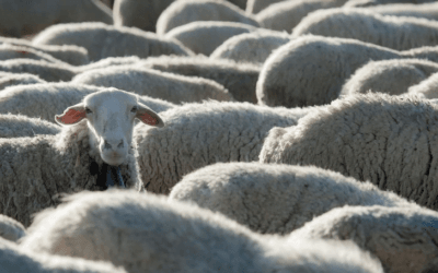 La IME cerró la semana a US$ 7,76, sin cambios.