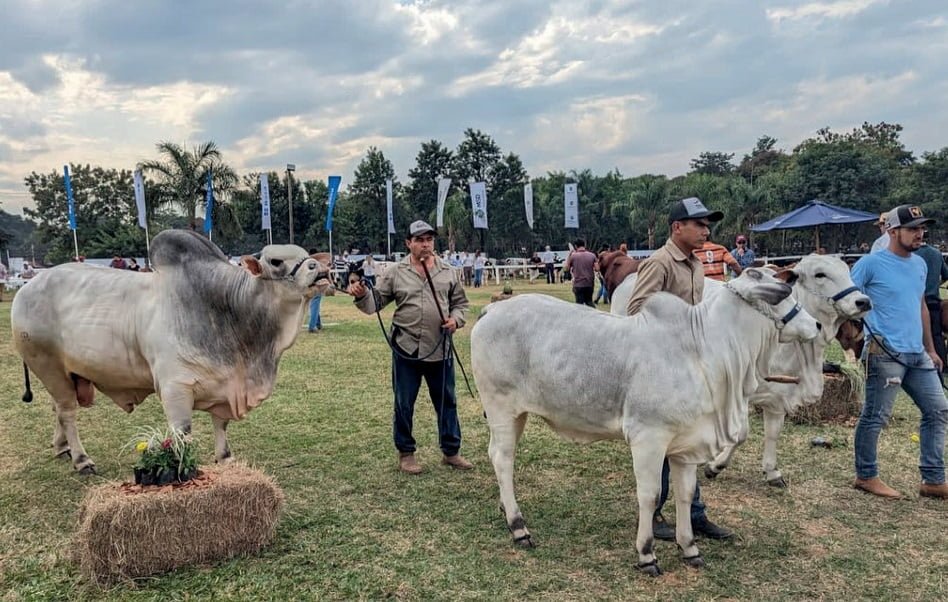 Paraguay. En julio será la Expo Internacional de Mariano Roque Alonso