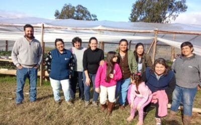 Continúan cursos y asesoramientos en producción ovinas.