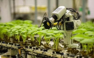 Transformar digitalmente una empresa es más que la incorporación tecnológica