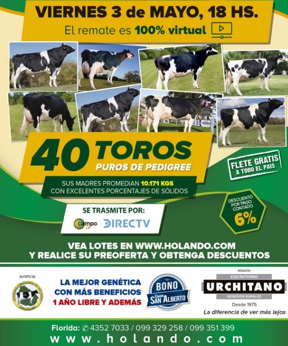 Hoy Urchitano rematará los toros de San Alberto.