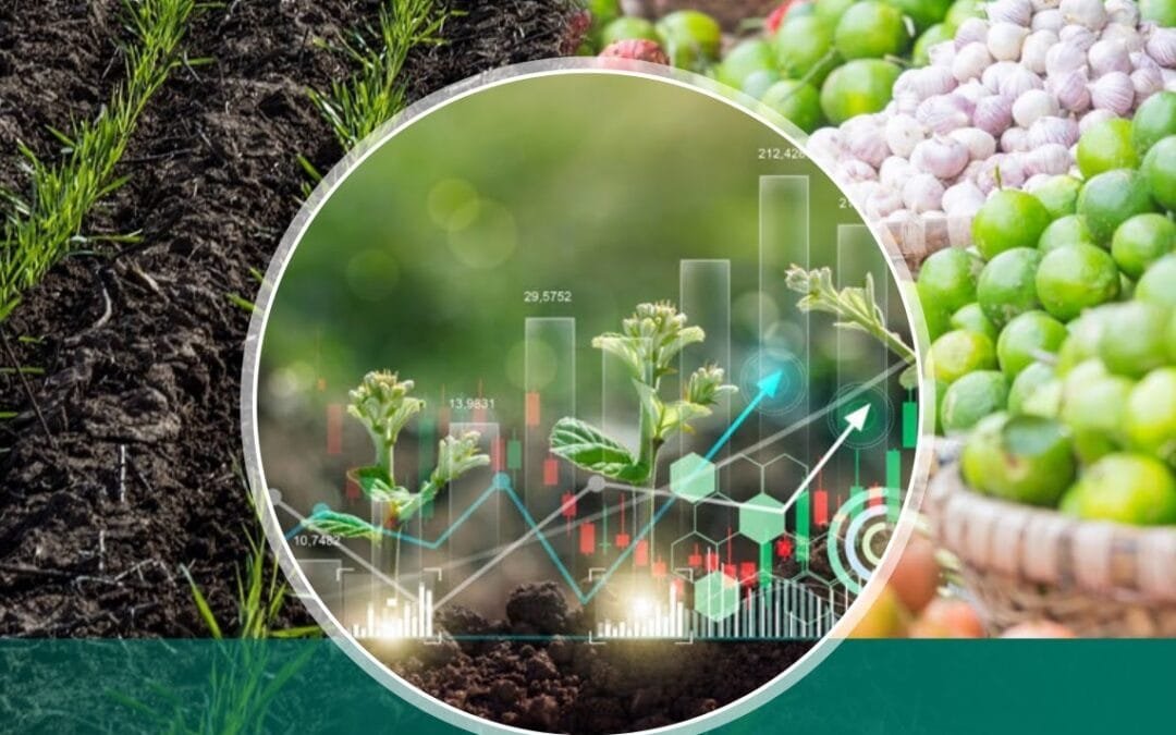 No erradicar el hambre y la malnutrición tiene un costo superior al de las soluciones.