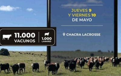 Hoy comienza Lote 21, desde las 09.00.