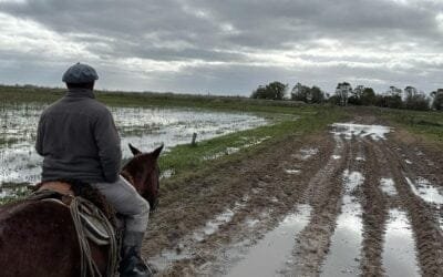 Intendente de Rocha: “La dura vida productiva” en fotos.