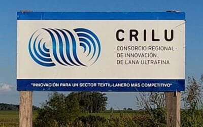 Crilu. En contexto desafiante; buenas noticias para el sector lanero nacional.