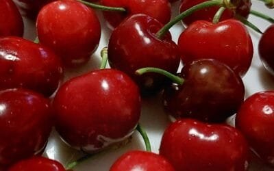 Chile. Récord en exportaciones de fruta.