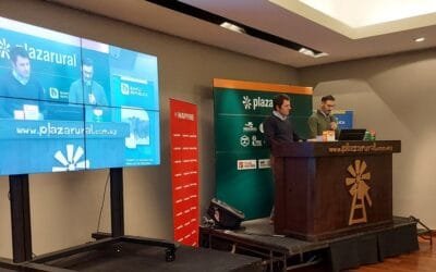 Ayer Plaza Rural colocó el 99% de la oferta; el remate finaliza hoy