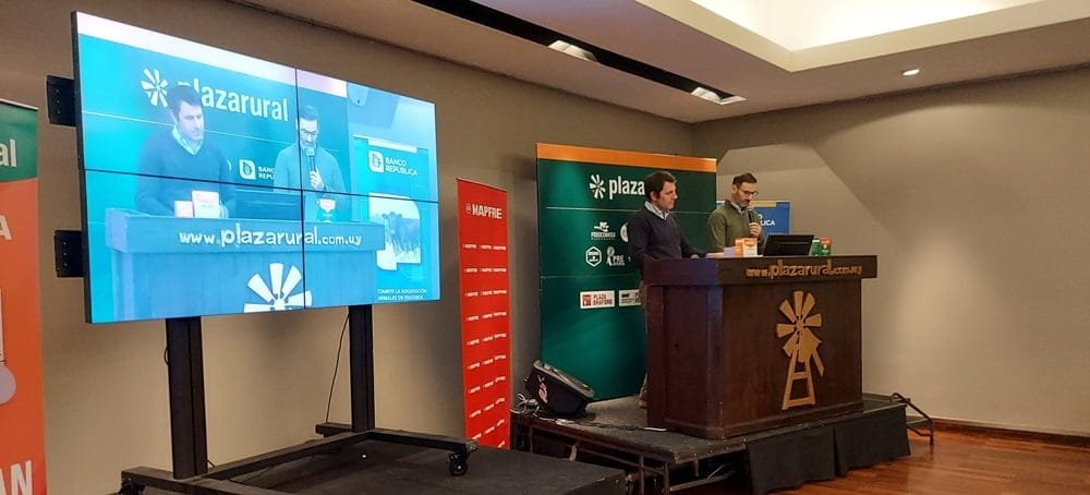 Ayer Plaza Rural colocó el 99% de la oferta; el remate finaliza hoy