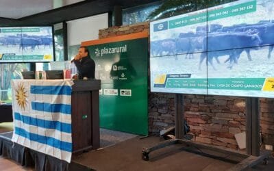 Luego de un muy buen primer día, hoy continúa el remate de Plaza Rural.