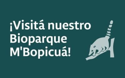 Vacaciones de invierno: Montes del Plata abrirá el Bioparque M´Bopicuá a la comunidad.