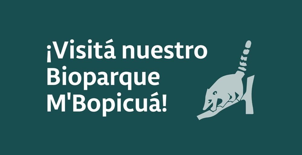 Vacaciones de invierno: Montes del Plata abrirá el Bioparque M´Bopicuá a la comunidad.