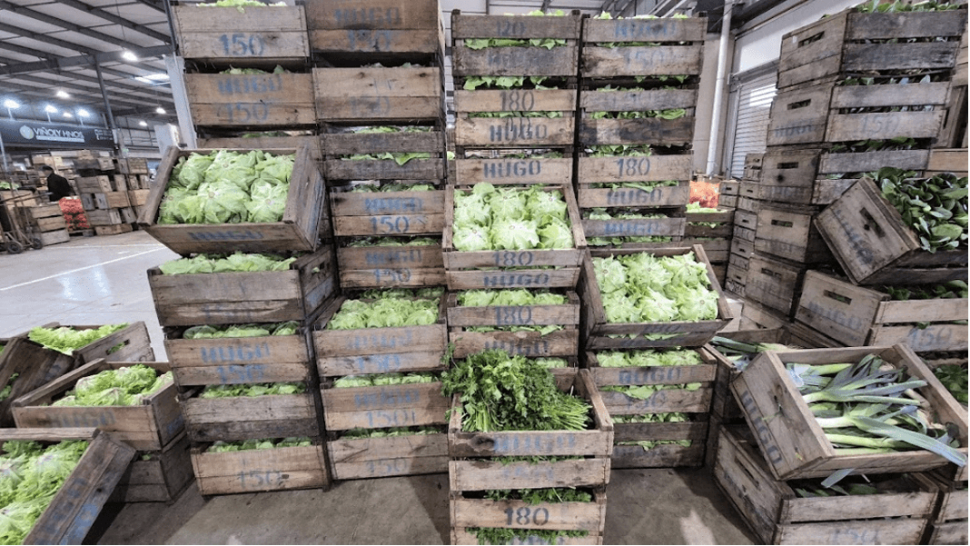 Se recupera la oferta de hortalizas de hojas, brotes e inflorescencia.