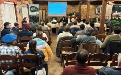 Consignatarios: “Baja oferta, faena estable y mercado firme”.