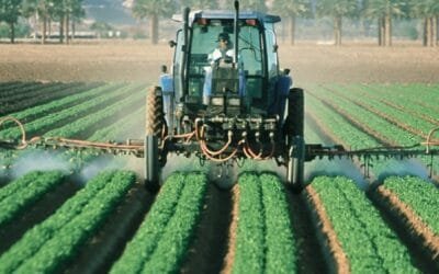 América Latina compra productos agrícolas prohibidos en la Unión Europea.