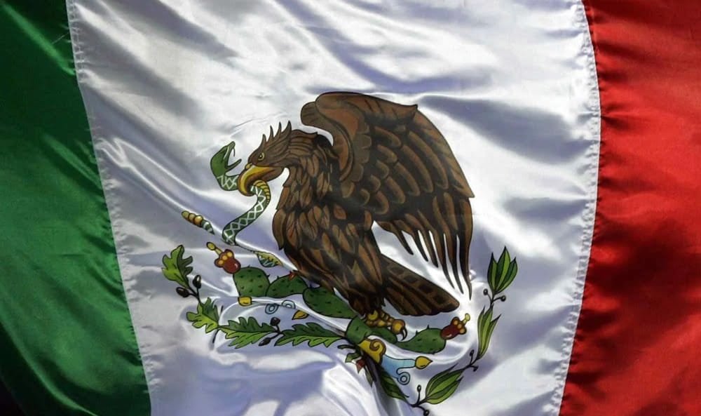 Detectan gusano barrenador en ganado mexicano y EE.UU. suspende importaciones