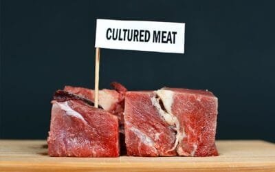 “La carne cultivada no es carne: además necesita hormonas y antibióticos para poder ser elaborada”.