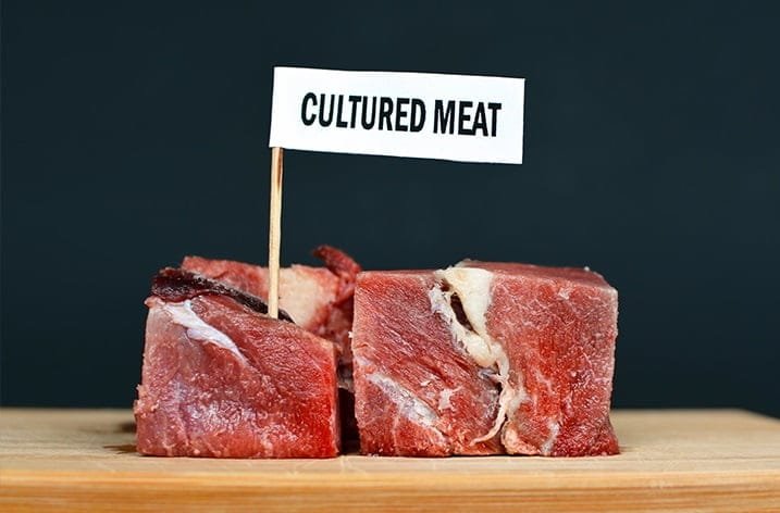 “La carne cultivada no es carne: además necesita hormonas y antibióticos para poder ser elaborada”.