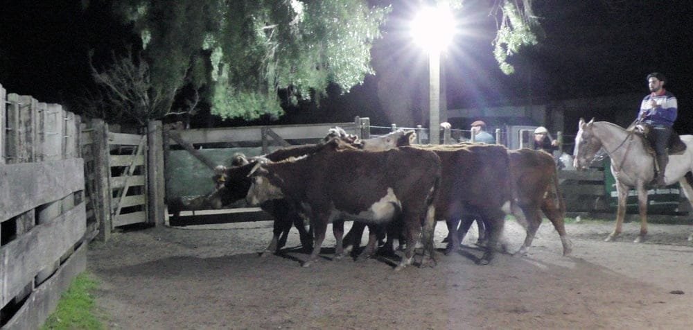 Pedro Clavijo Negocios Rurales: con agilidad dispersó surtida oferta en Don Bernardo.