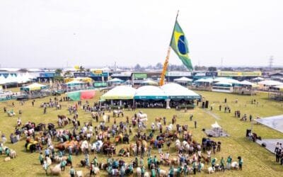 Brasil. Expointer 2024 se celebrará en la fecha prevista.