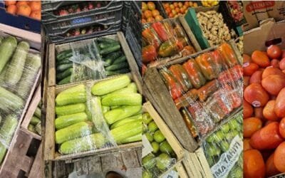 Se incrementa paulatinamente la oferta de hortalizas de fruto.