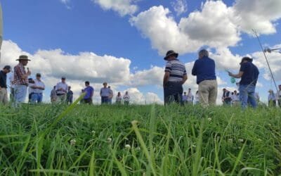 Proyecto sobre gestión del pasto liderado por INIA recibió el premio Fontagro a la excelencia científica.