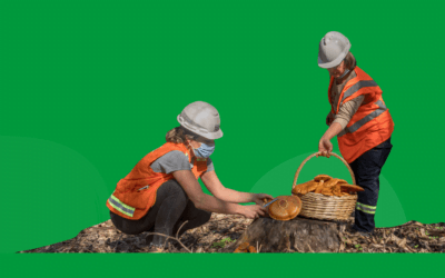 Viernes 14 sábado 15, jornada Ruta del Hongo, encuentro del mundo fungi.