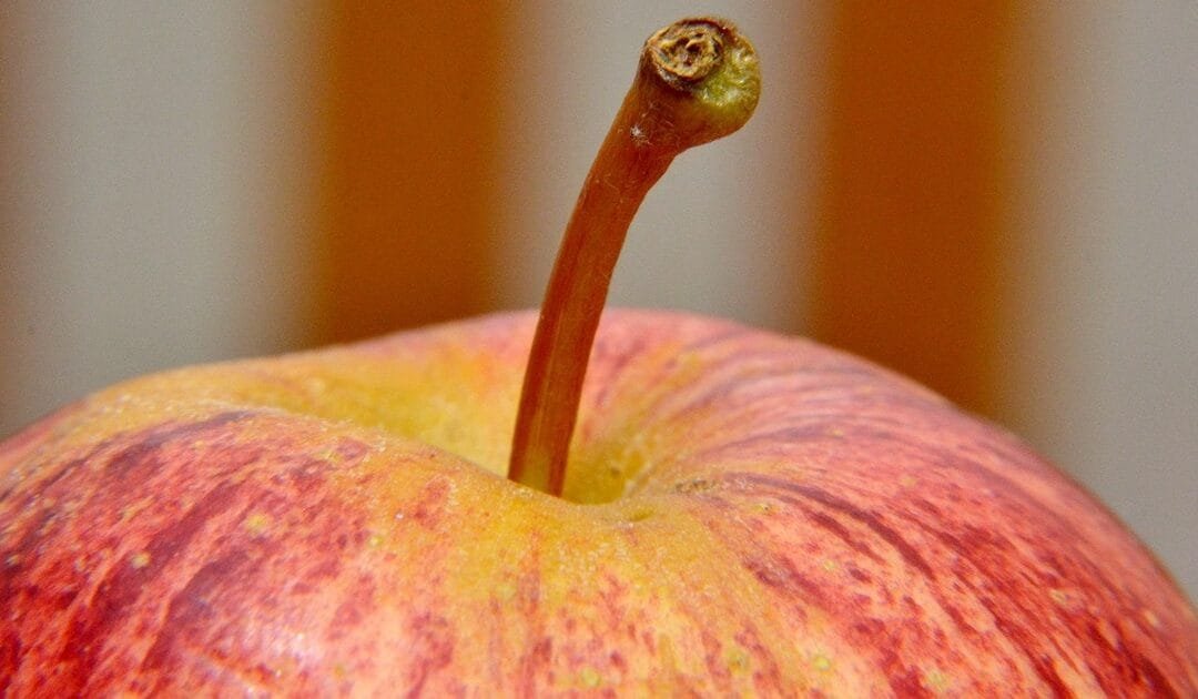 Día Mundial de la Inocuidad de los Alimentos: preparémonos para lo imprevisto.