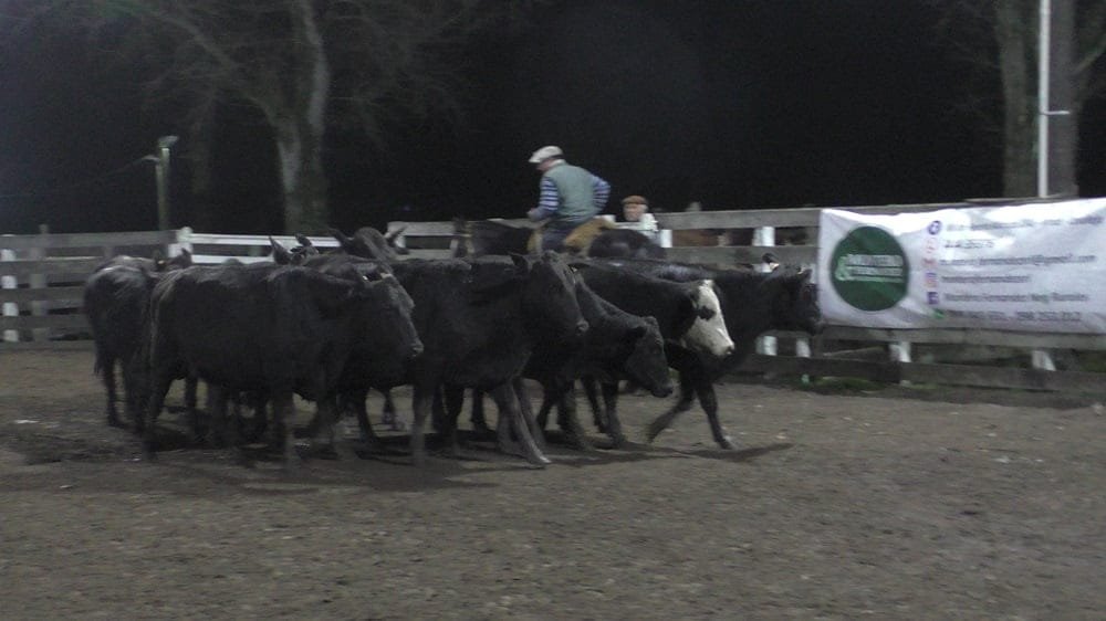 Montero & Fernández colocó surtida oferta con valores acordes al momento.