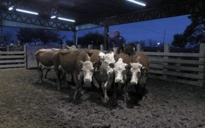 Corriente la pista en Ortíz, con Ricardo Bachino Grosso.