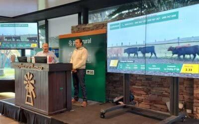 Hoy a las 09.00 comienza el remate de Plaza Rural con destacada oferta.