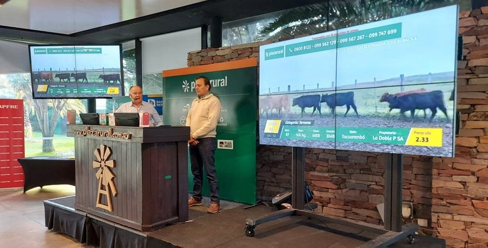 Hoy a las 09.00 comienza el remate de Plaza Rural con destacada oferta.