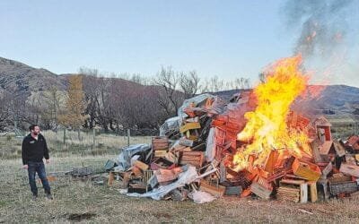Por grave enfermedad, Nueva Zelanda obliga la quema de colmenas.