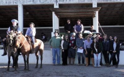 Escritorio Montero y Fernández tuvo un exitoso primer remate de los Criollos de Los Gringos y La Monedita.